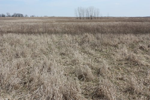 Property photo 12 - 194.67 Acres Offered in 2 Tracts